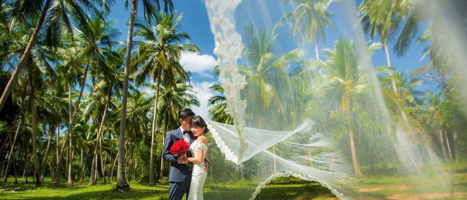 Weddings photo 0