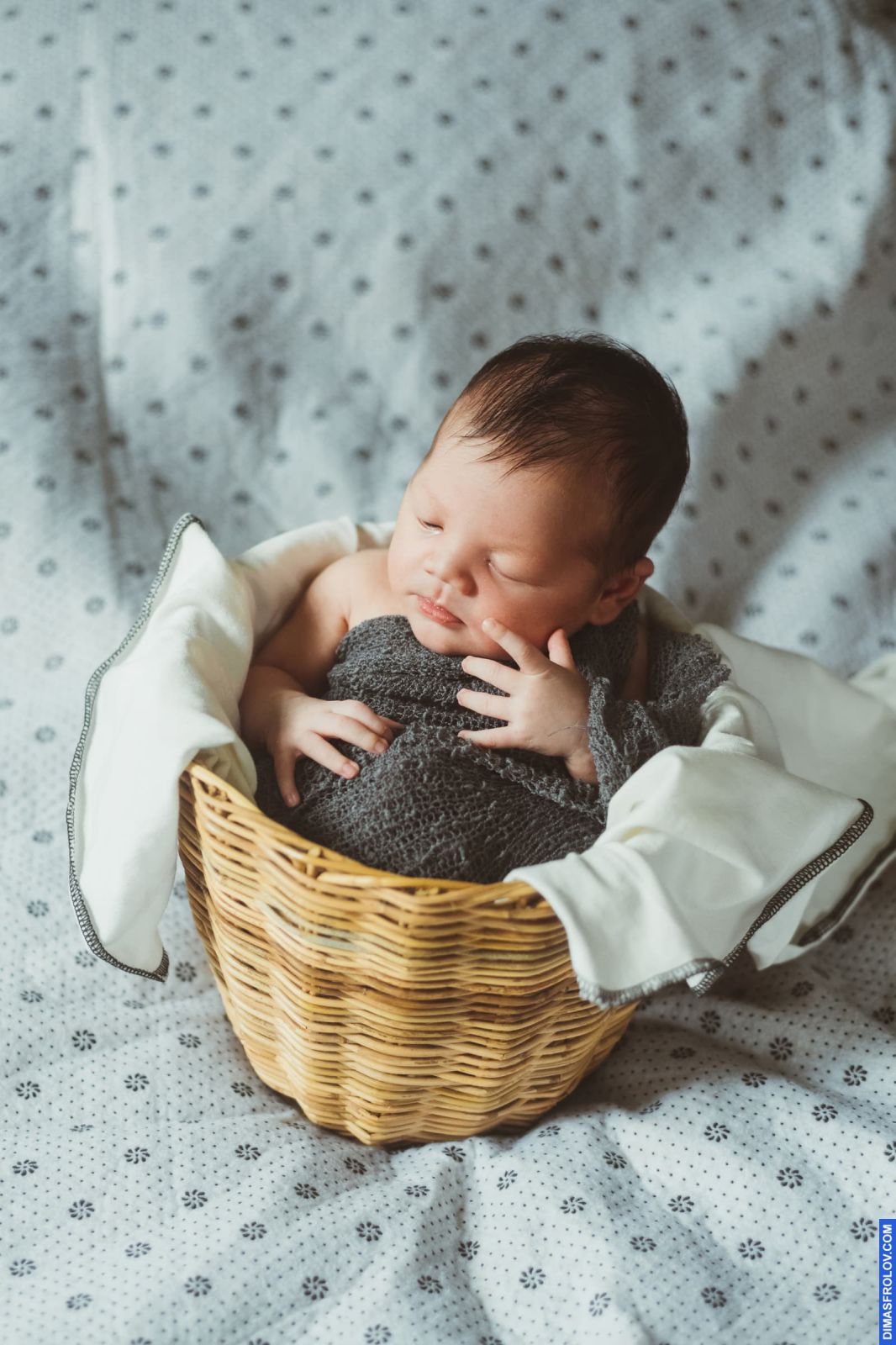 Baby Tao. Newborn photo shoot. Photo 108114 (2023-05-03 22:12:48)