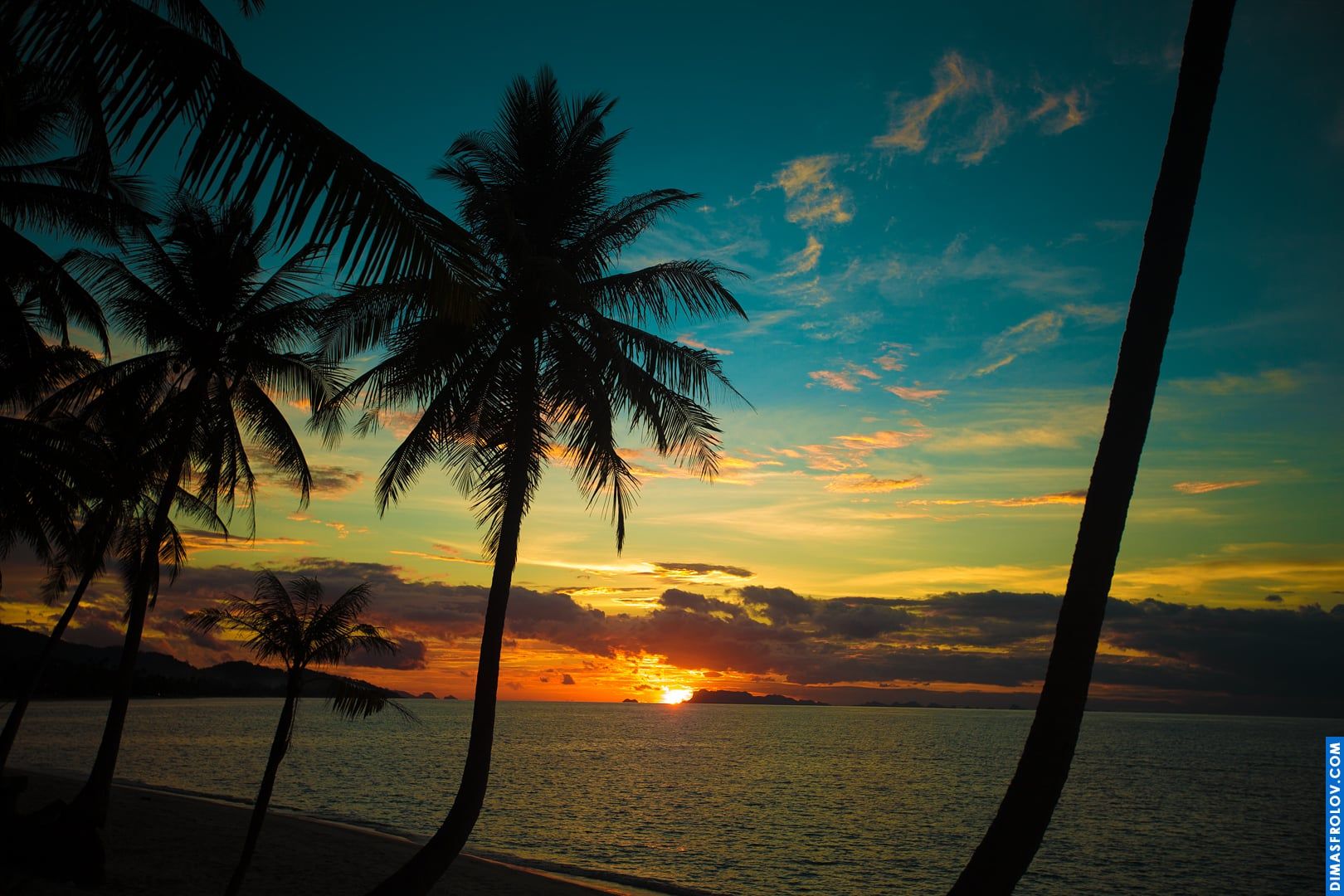 Tropical beach at sunset with palm trees silhouetted against the colorful sky, reflecting on the water