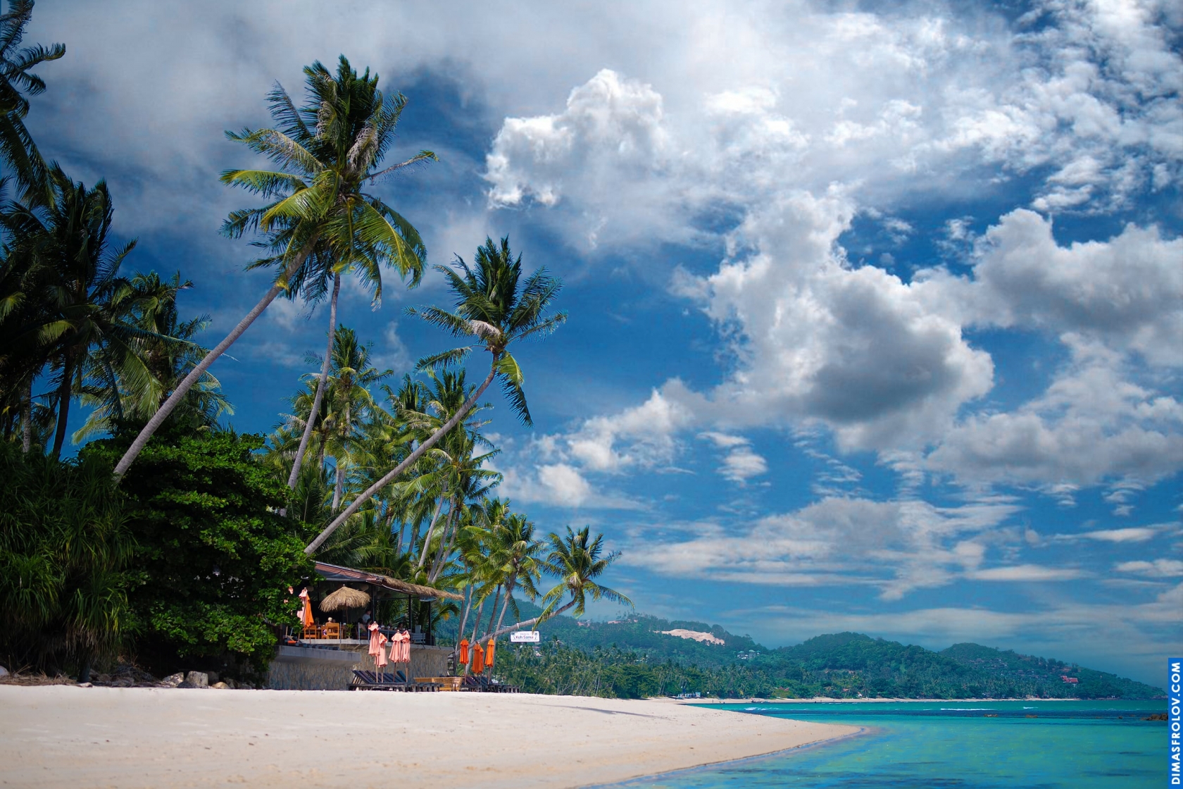 Tropical beach with palm trees and a small hut under a partly cloudy blue sky